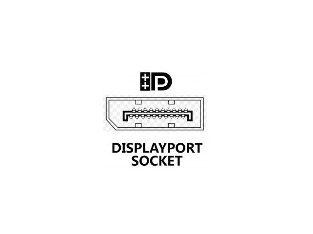3m DisplayPort Plug to Plug Video Cable (Locking) DPG-002013 image 2