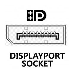 3m DisplayPort Plug to Plug Video Cable (Locking) DPG-002013 thumbnail 2